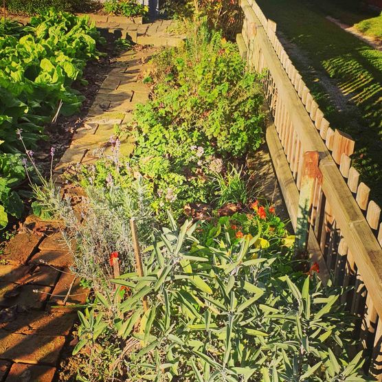 Bild von twinklinstar Bild von twinklinstar