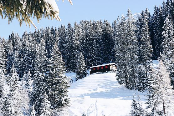 Winterwunderland Winterwunderland