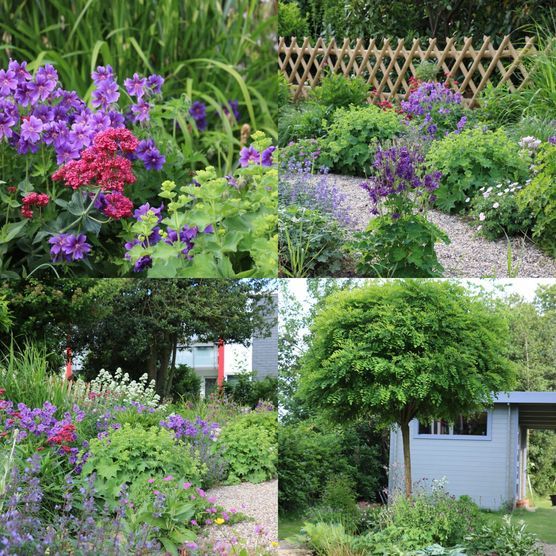 Bild von Mimi We Bild von Mimi We