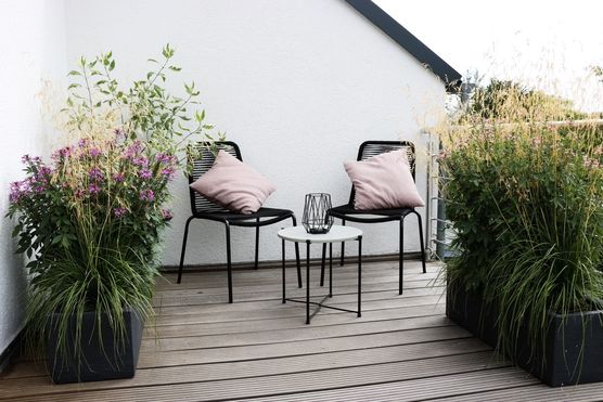 Bild von Mimi We Bild von Mimi We