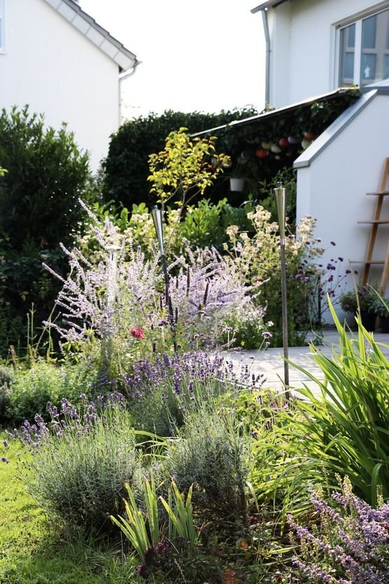 Bild von Mimi We Bild von Mimi We