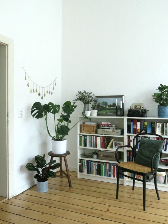 Grüne Ecke Grüne Ecke