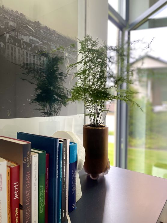 Spargelfarn auf der Schlafzimmer-Kommode Spargelfarn auf der Schlafzimmer-Kommode