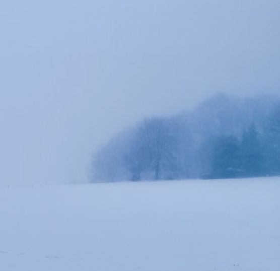 Winterlandschaft von unserem Spaziergang Winterlandschaft von unserem Spaziergang