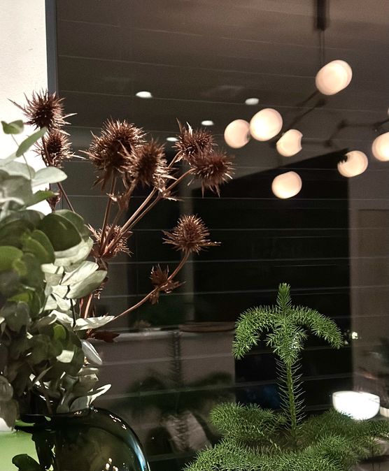 Rostrote Disteln.
Nie so Rostrote Disteln.
Nie so