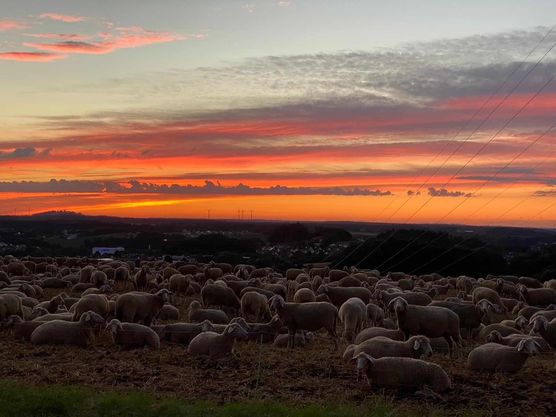 Bild von Ak_oeni Bild von Ak_oeni