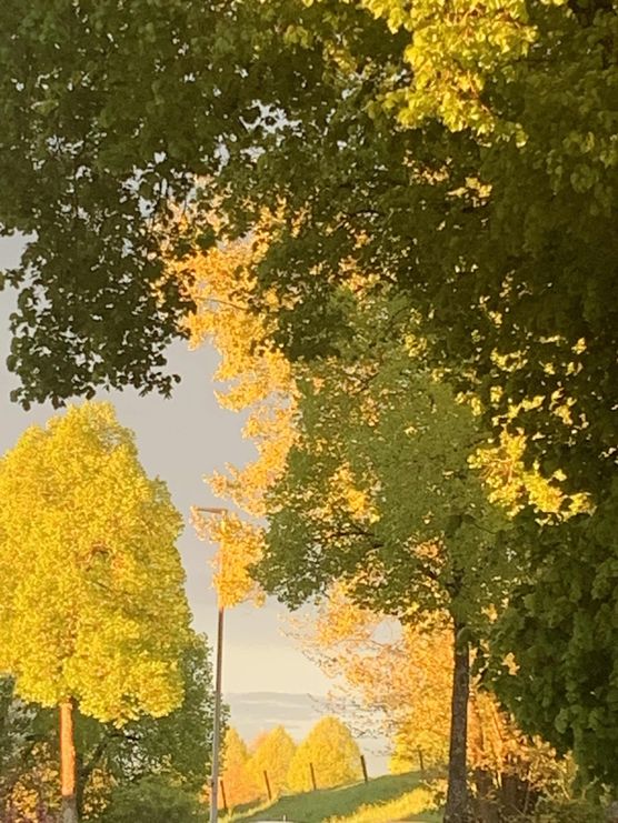 Bild von Ak_oeni Bild von Ak_oeni