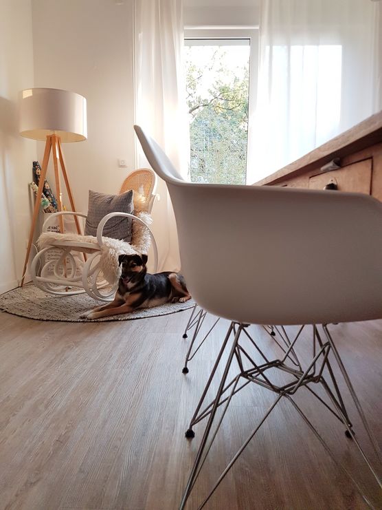 Lazy dog... Lazy dog...