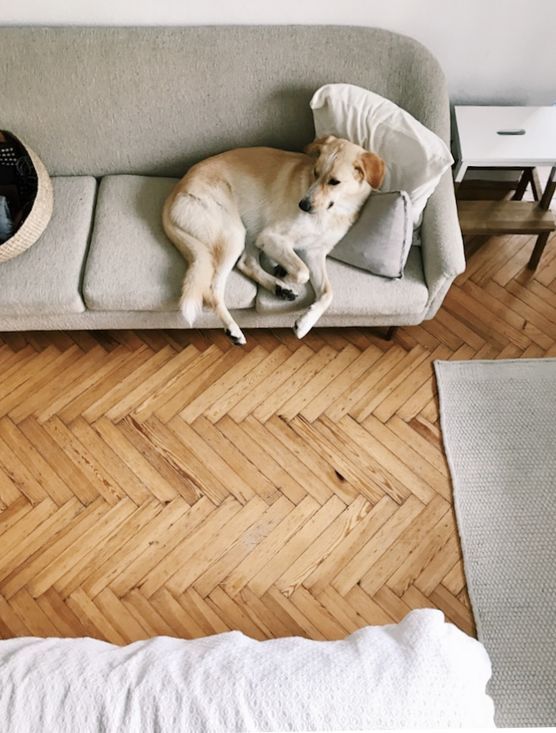 ton in ton ton in ton