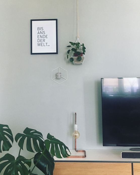 Bild von Pudelwohl Bild von Pudelwohl