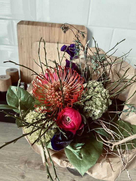 Bild von Pellebär Bild von Pellebär