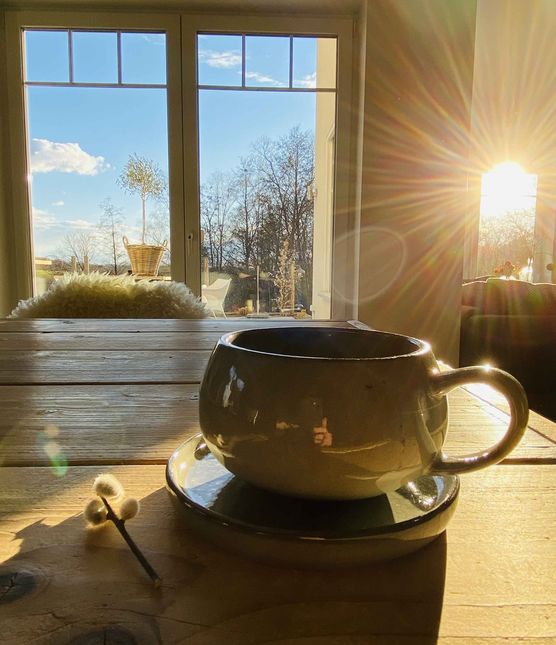 Bild von Pellebär Bild von Pellebär