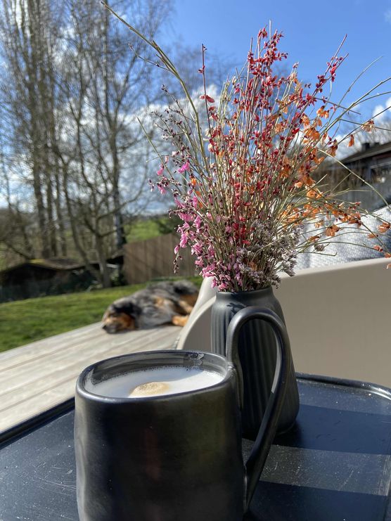 Bild von Pellebär Bild von Pellebär