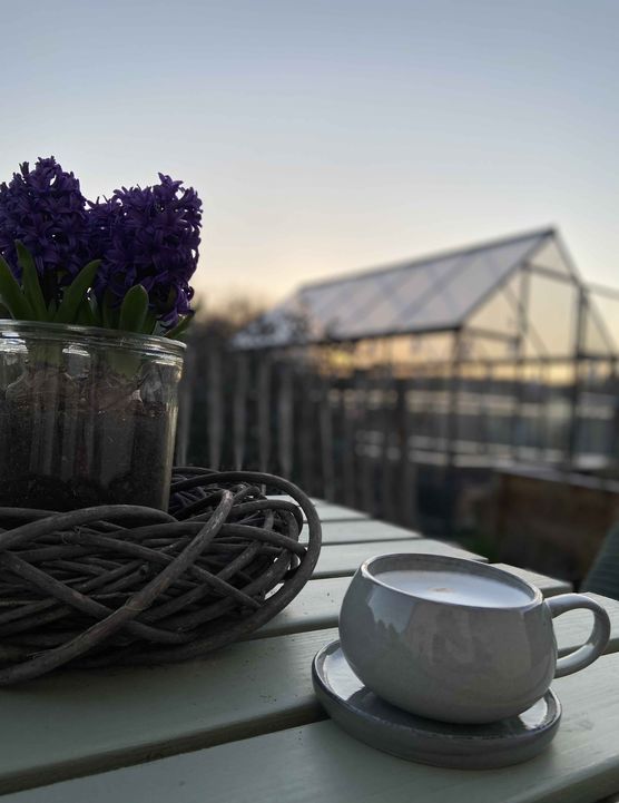 Bild von Pellebär Bild von Pellebär