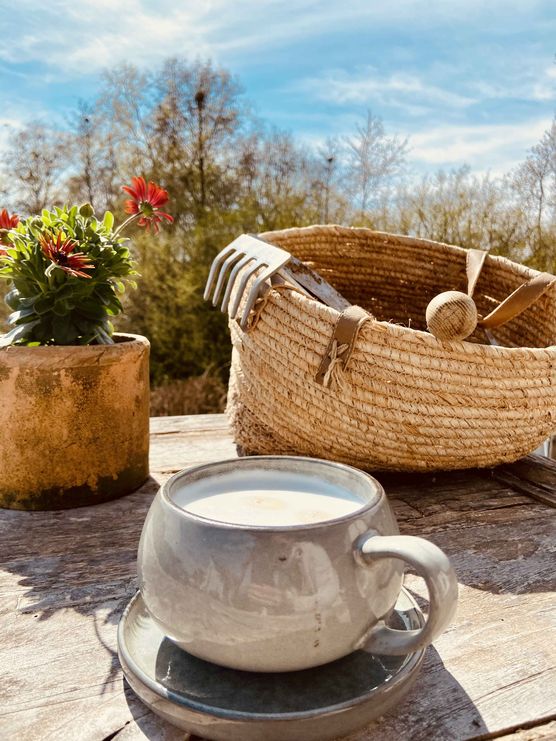 Bild von Pellebär Bild von Pellebär