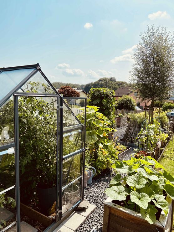 Bild von Pellebär Bild von Pellebär