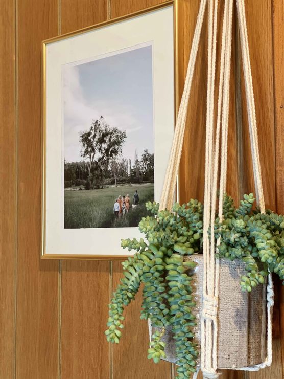 Bild von danasjungle Bild von danasjungle