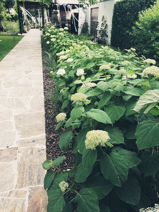 Nach der Birthday Party Nach der Birthday Party