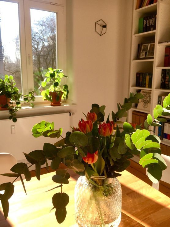 Urbanjungle Urbanjungle