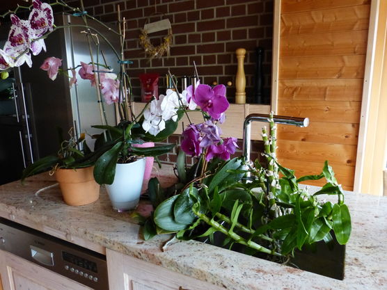 Einmal in der Woche Einmal in der Woche