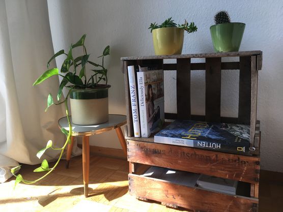 Vom Blatt zur Pflanze Vom Blatt zur Pflanze