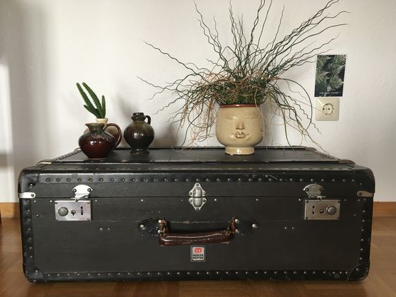 Haarige Angelegenheit Haarige Angelegenheit