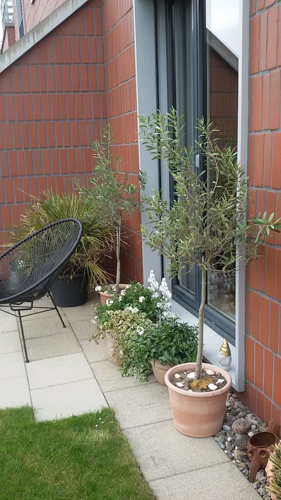 Bild von chrigee Bild von chrigee