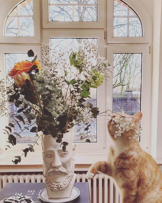 Bild von dasjetzthatfluegel Bild von dasjetzthatfluegel