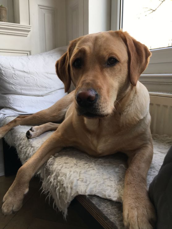 Einen Grund für die Einen Grund für die