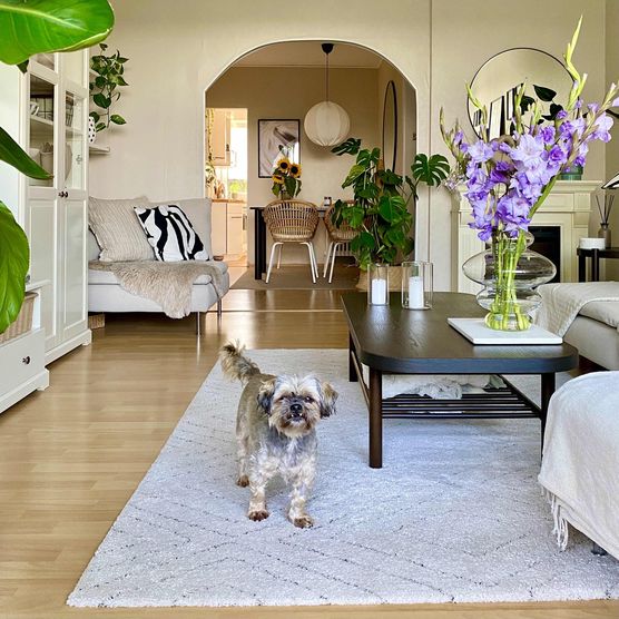 Bild von Bri67 Bild von Bri67