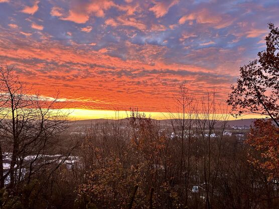 Bild von Bri67 Bild von Bri67