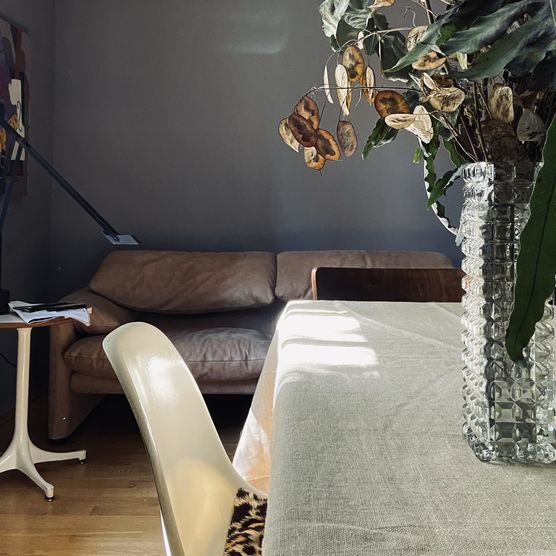 Probehalber für die Party Probehalber für die Party