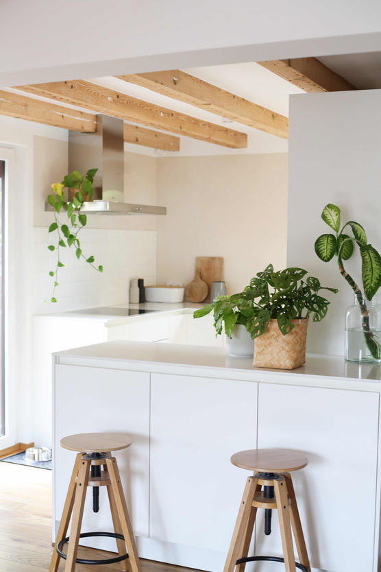 Bild von Häusle und Oskar Bild von Häusle und Oskar