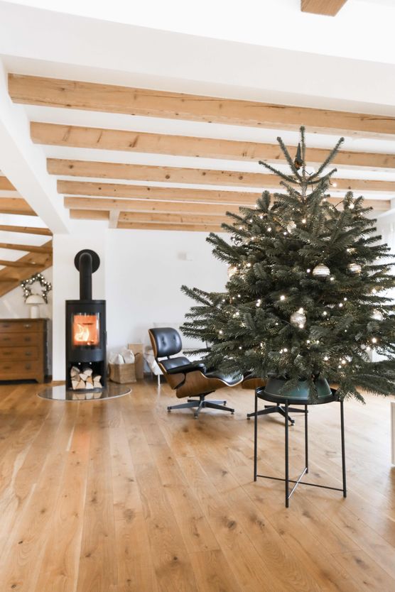 Bild von Häusle und Oskar Bild von Häusle und Oskar