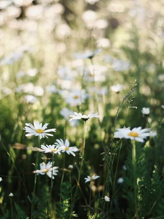 Summer in the City. Summer in the City.