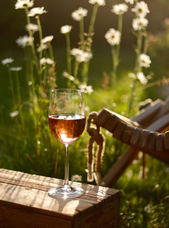 ☀️ Sundowner ☀️ ☀️ Sundowner ☀️