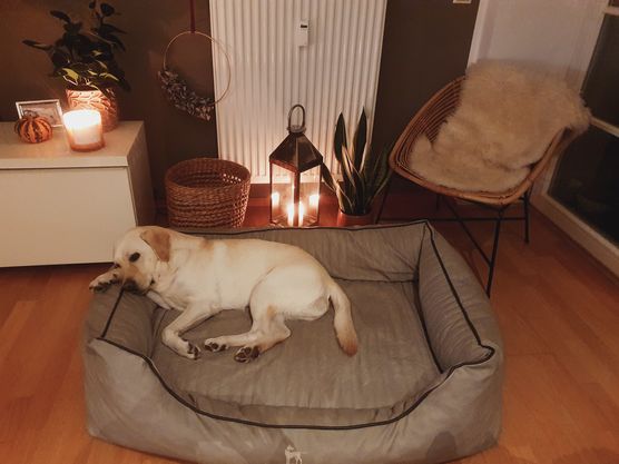 Mia plant wohl für Mia plant wohl für