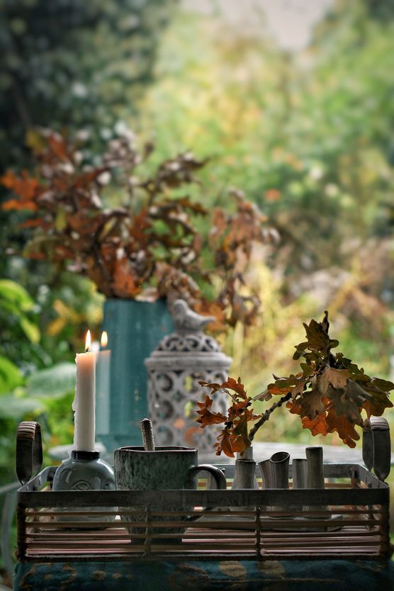 🍂🧡 Fensterblick in den 🍂🧡 Fensterblick in den