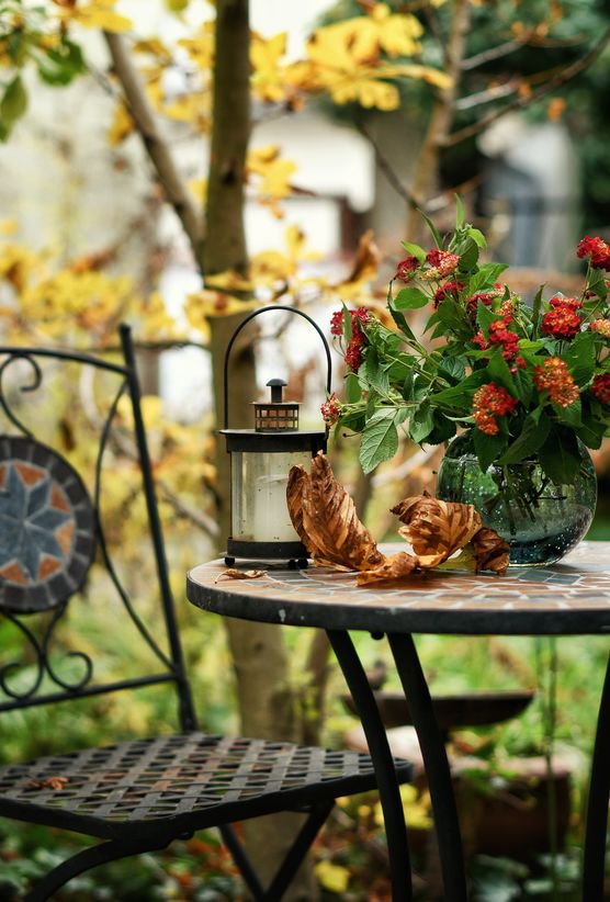 🍃🍂 Bis eben im 🍃🍂 Bis eben im