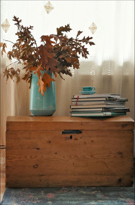 🍂 Noch die letzten 🍂 Noch die letzten