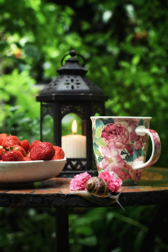 🌸 Gartenstillleben mit 🍓 🌸 Gartenstillleben mit 🍓