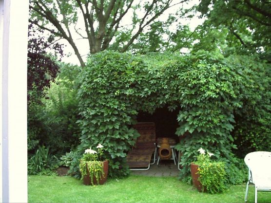 Der Nordgarten Der Nordgarten