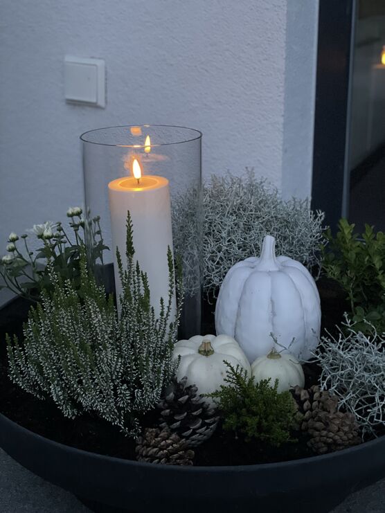 Bild von Tauchfrau Bild von Tauchfrau