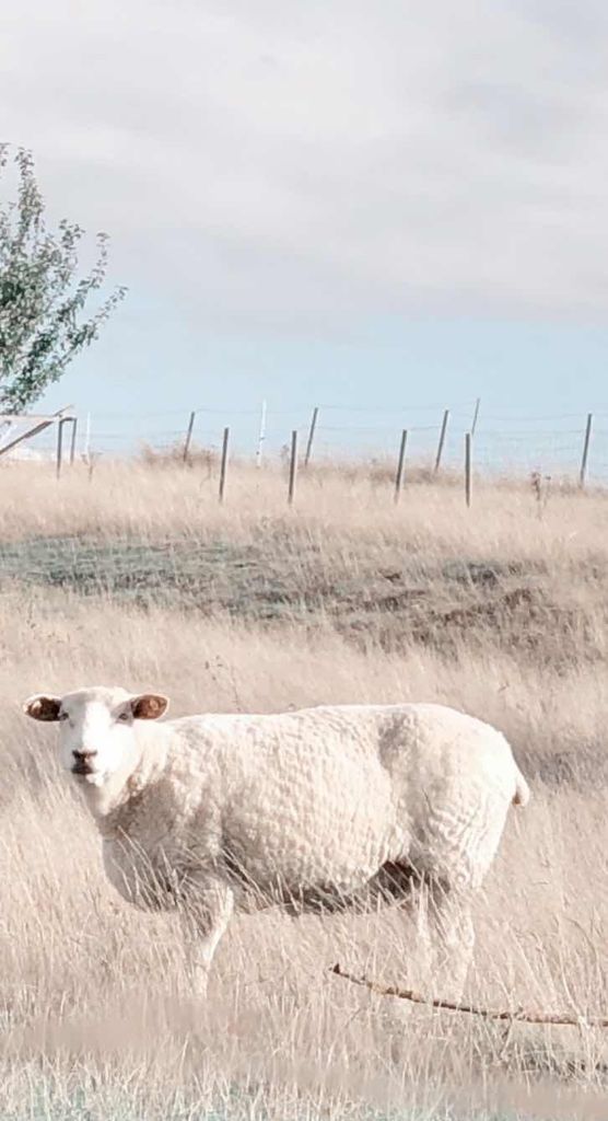 Bild von LuNylove Bild von LuNylove