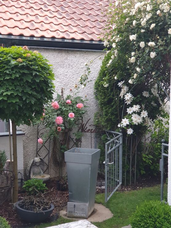 Gartenliebe Gartenliebe