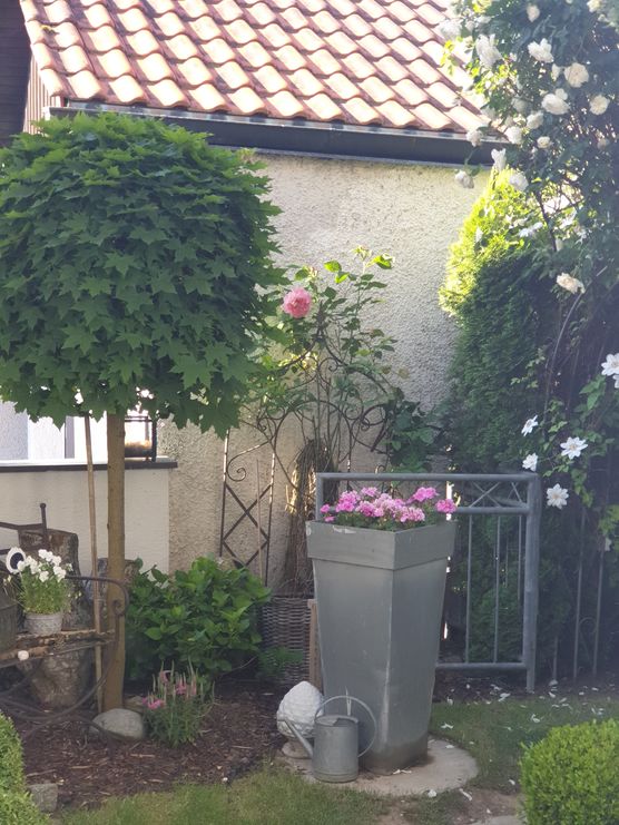 Ein Hauch in ROSA Ein Hauch in ROSA