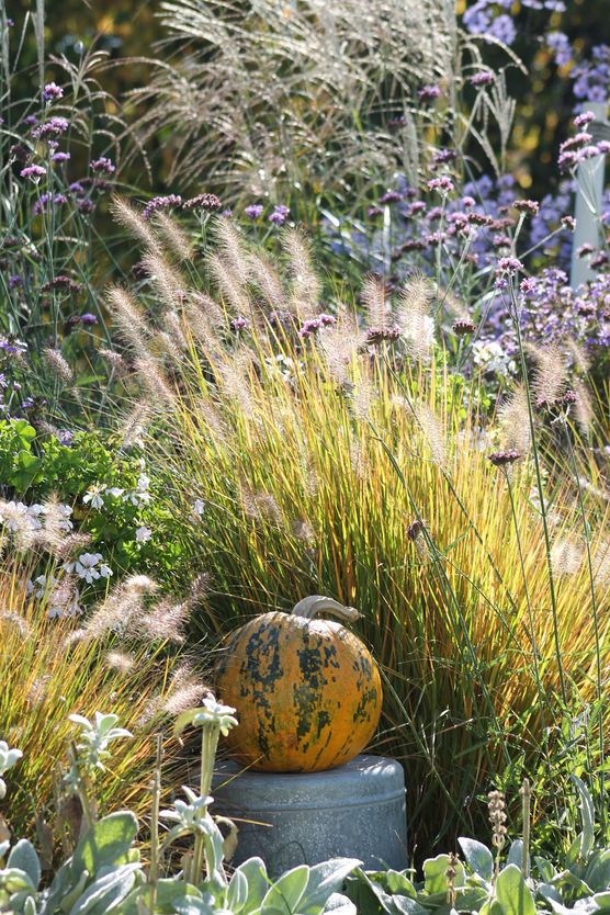 Herbst im Garten Herbst im Garten