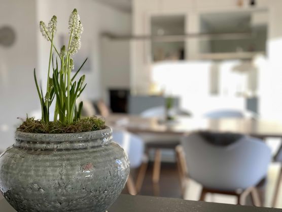 Bild von Levida Bild von Levida