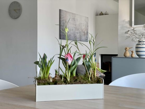 Bild von Levida Bild von Levida