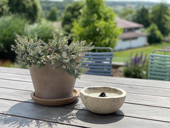 Bild von Levida Bild von Levida